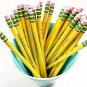 Meet your Posher, Ann